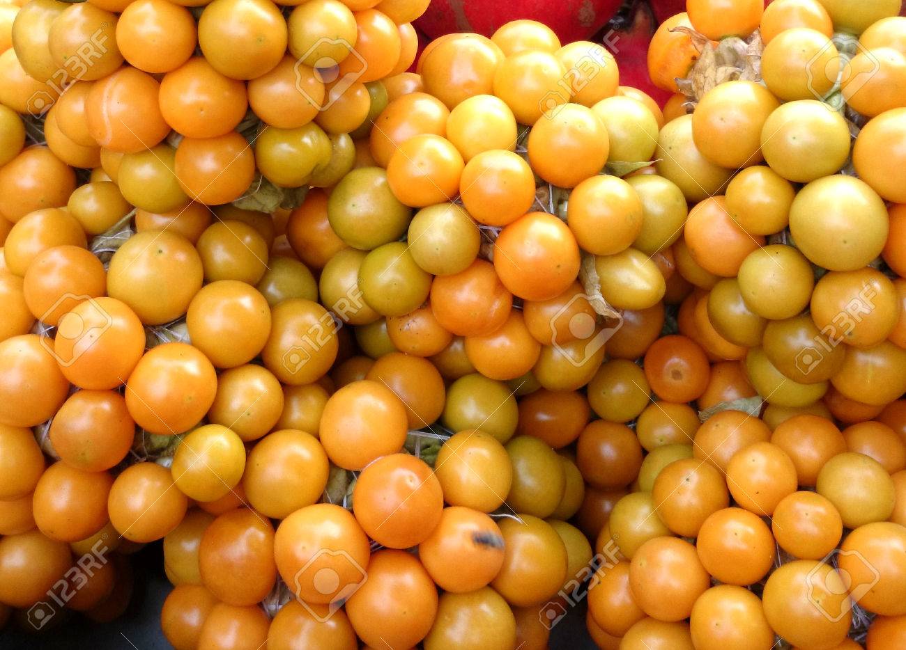 ゴールデンベリー スグリのトマト ヒメセンナリホウズキ ペルー Groundcherry 栽培ハーブ黄金黄色いトマトのような果実をつける膨らんだ萼で囲まれた生で食べられる の写真素材 画像素材 Image ゴールデンベリー スグリのトマト ヒメセンナリホウズキ ペルー Groundcherry 栽培ハーブ黄金黄色いトマトのような果実をつける膨らんだ萼で囲まれた生で食べられる の写真素材 画像素材 Image