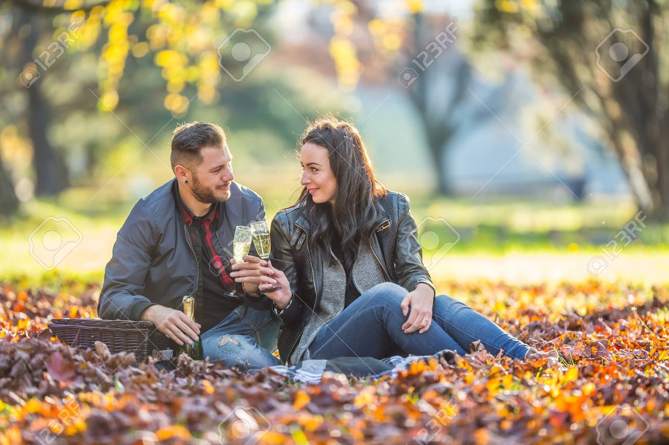 若い素敵な幸せカップル 恋人秋の公園でピクニックを持っています シャンパンのグラスと素晴らしく幸せなカップル の写真素材 画像素材 Image 0653