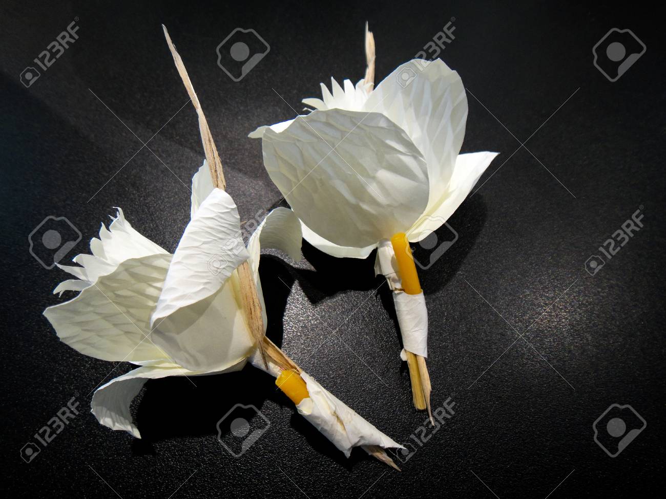 タイの葬儀紙花 火葬のサイト上に配置される木の花の種類 の写真素材 画像素材 Image