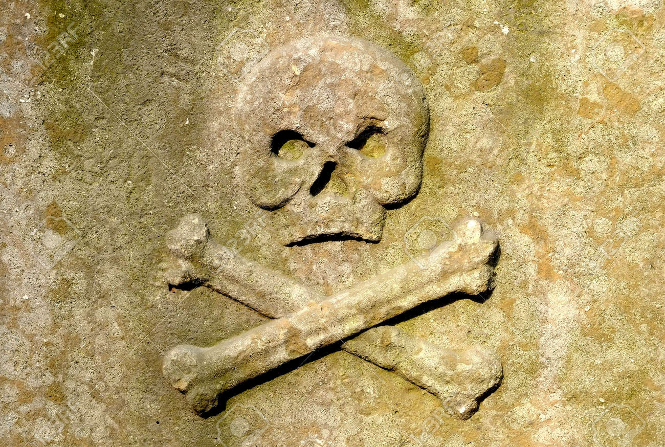 etiam-dictum-ipsum-a-felis