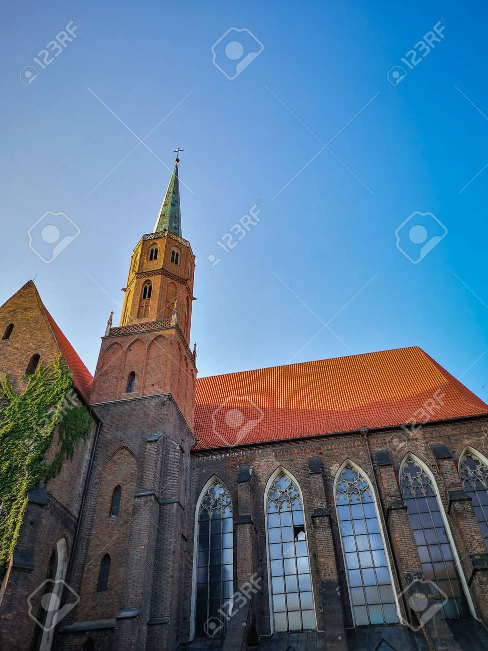 etiam-dictum-ipsum-a-felis