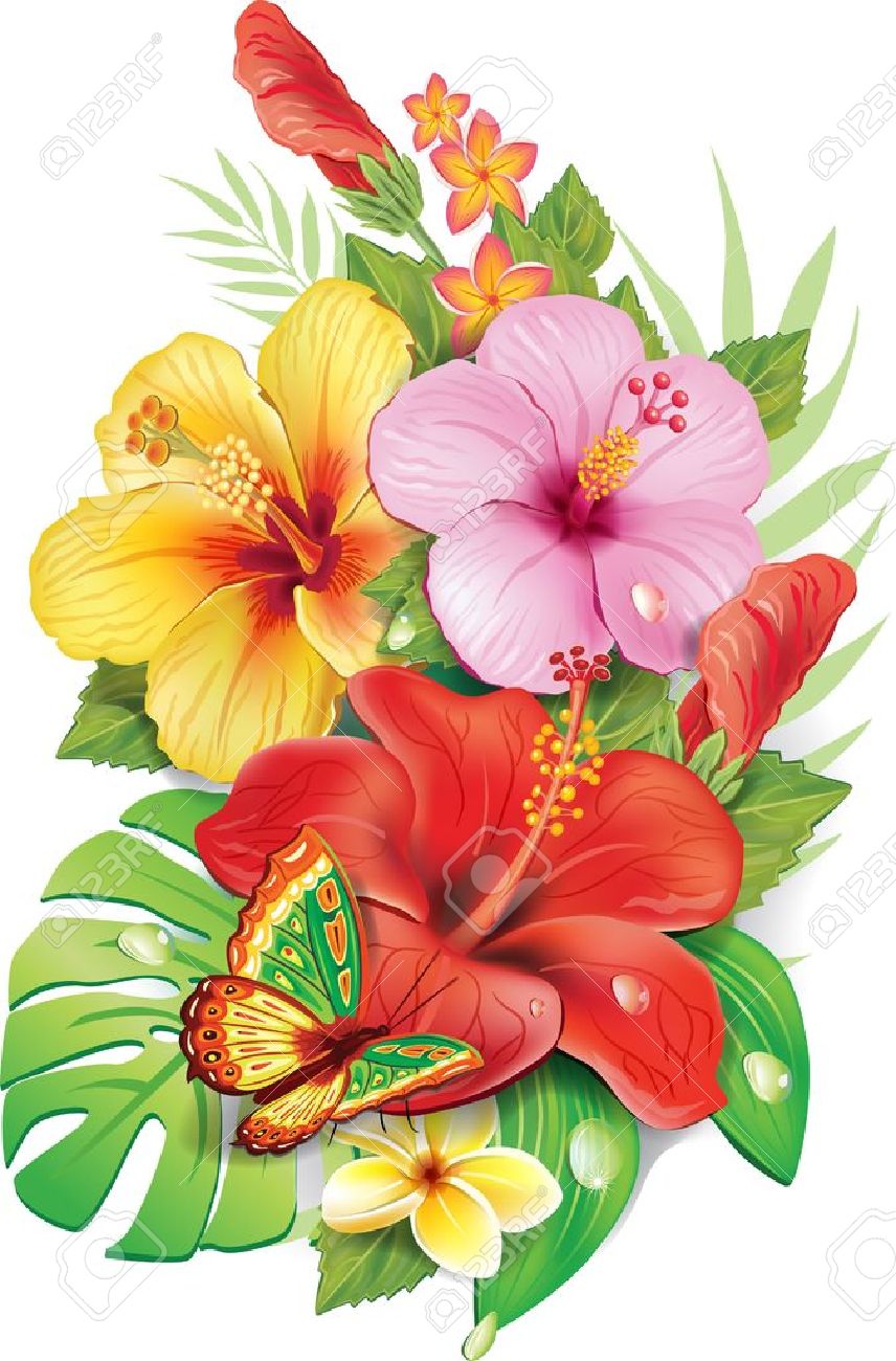 熱帯の花の花束のイラスト素材 ベクタ Image