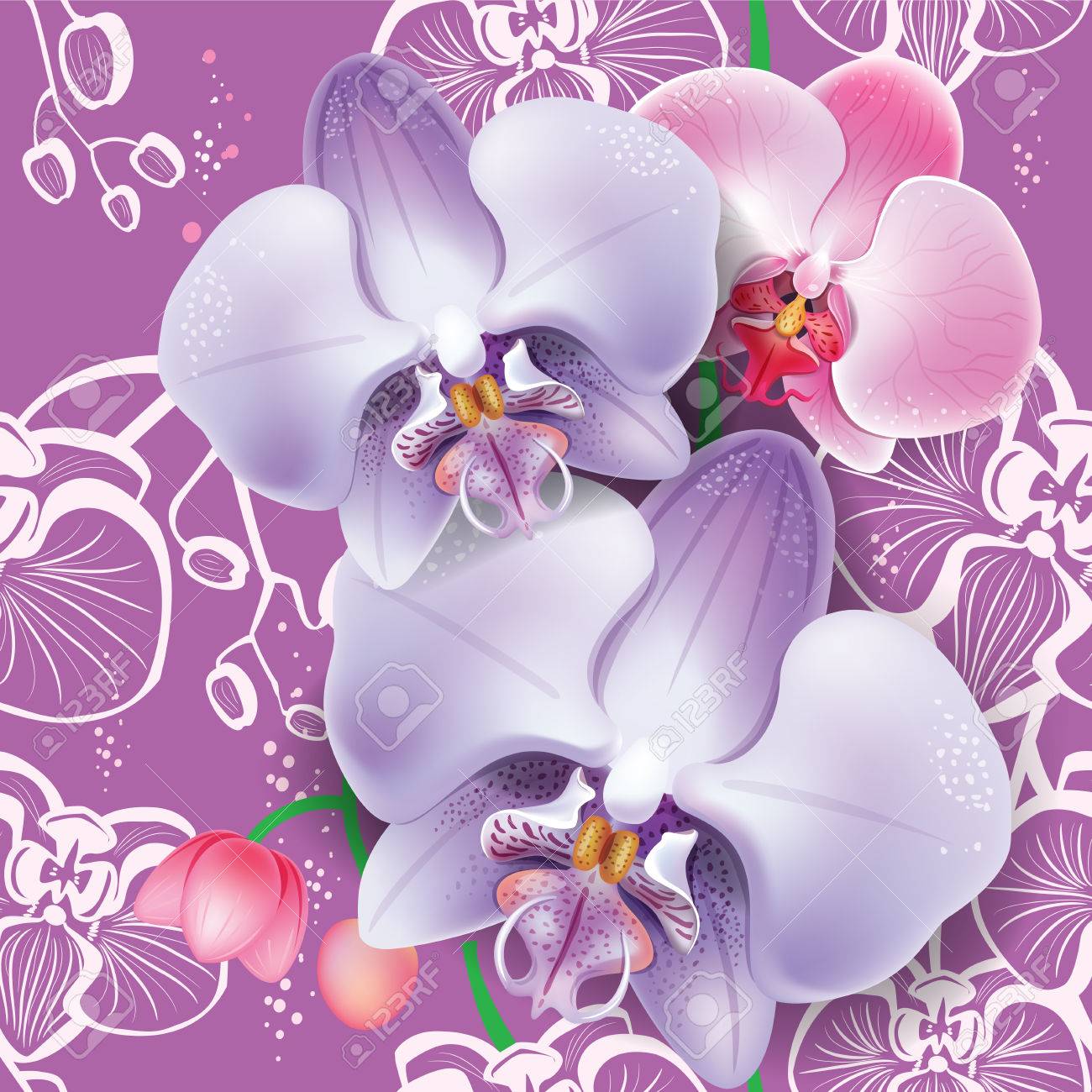 ピンク オーキッド ブローチ付きシームレス花柄のイラスト素材 ベクタ Image