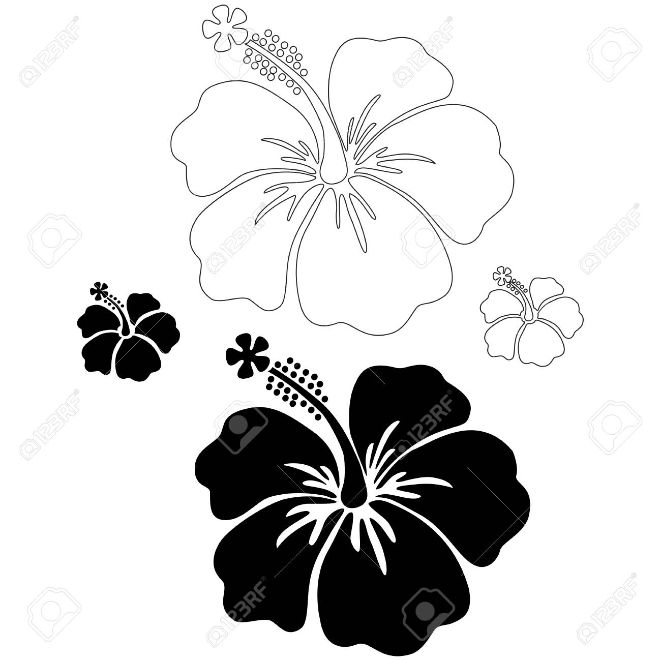 Hibiscus Silhouettes Royalty Free Svg Cliparts Vectors And Stock Illustration Image
