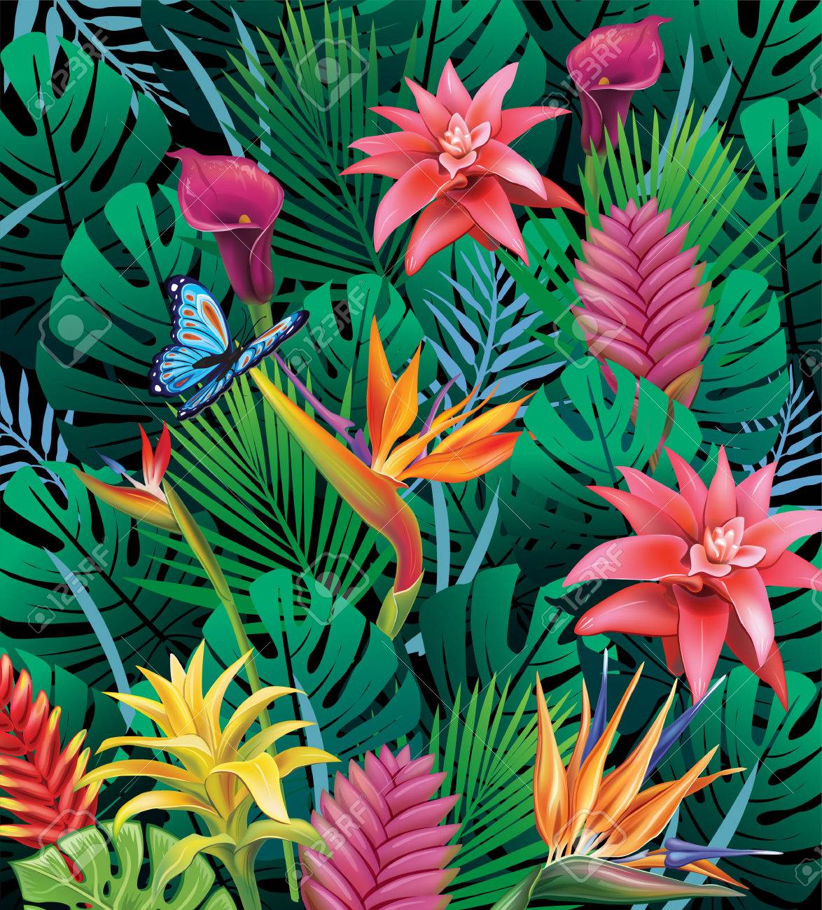 Background With Exotic Tropical Flowers Royalty Free SVG, Cliparts,  Vetores, E Ilustrações Stock. Image 82235935.