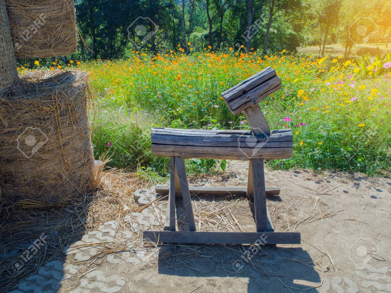 cheval bascule jardin