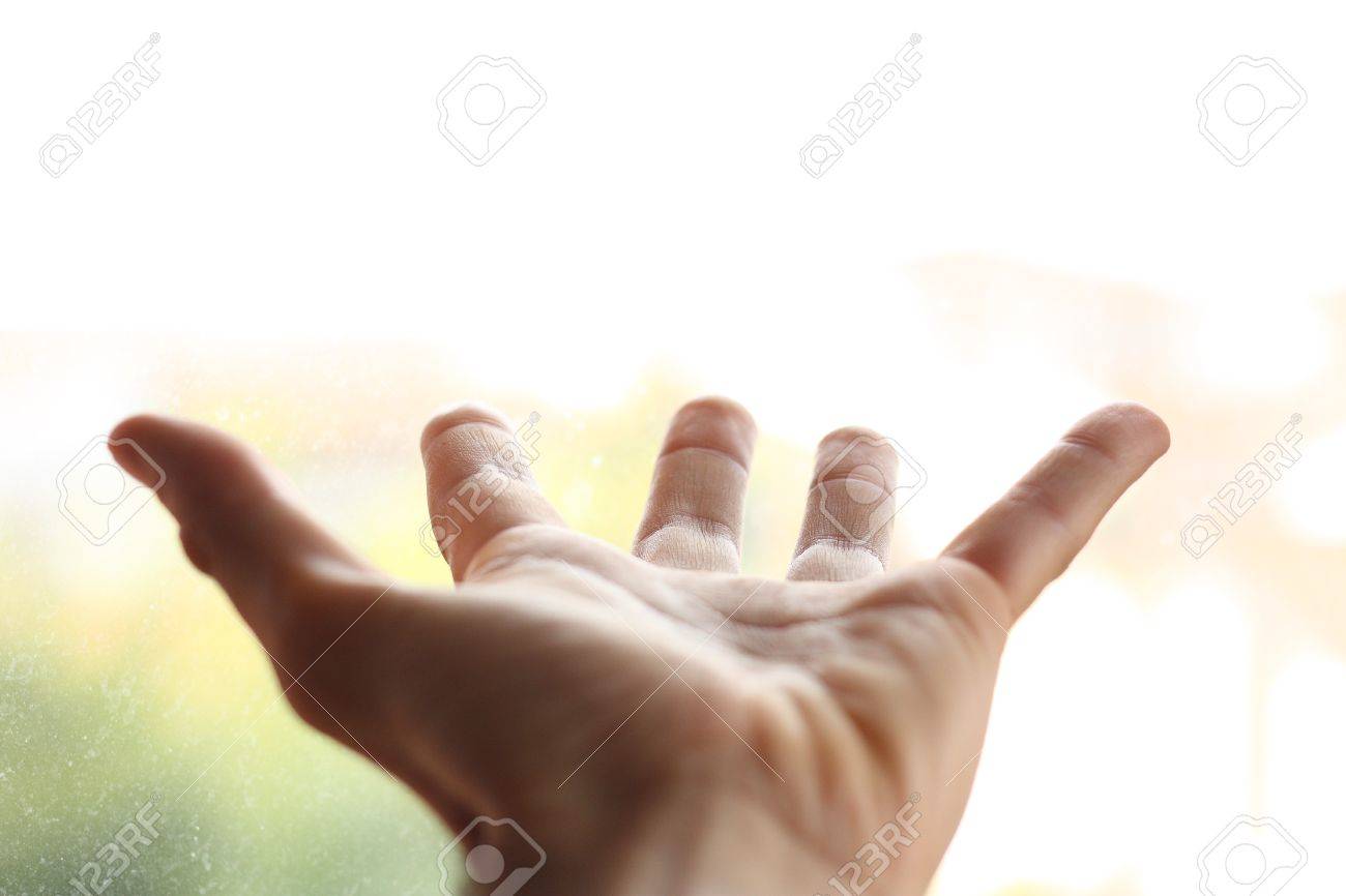 etiam-dictum-ipsum-a-felis