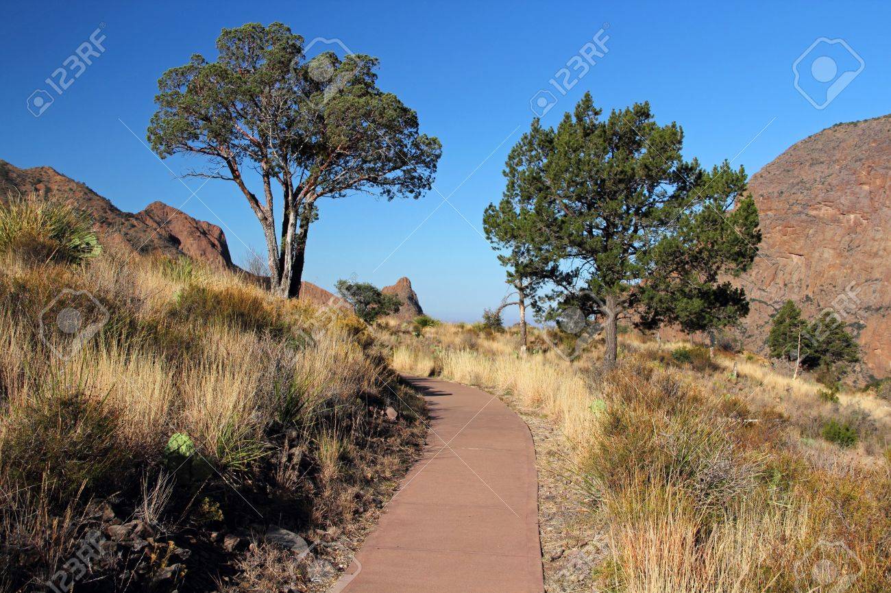 ビッグ ベンド国立公園 テキサス州の簡単なハイキング トレイル の写真素材 画像素材 Image