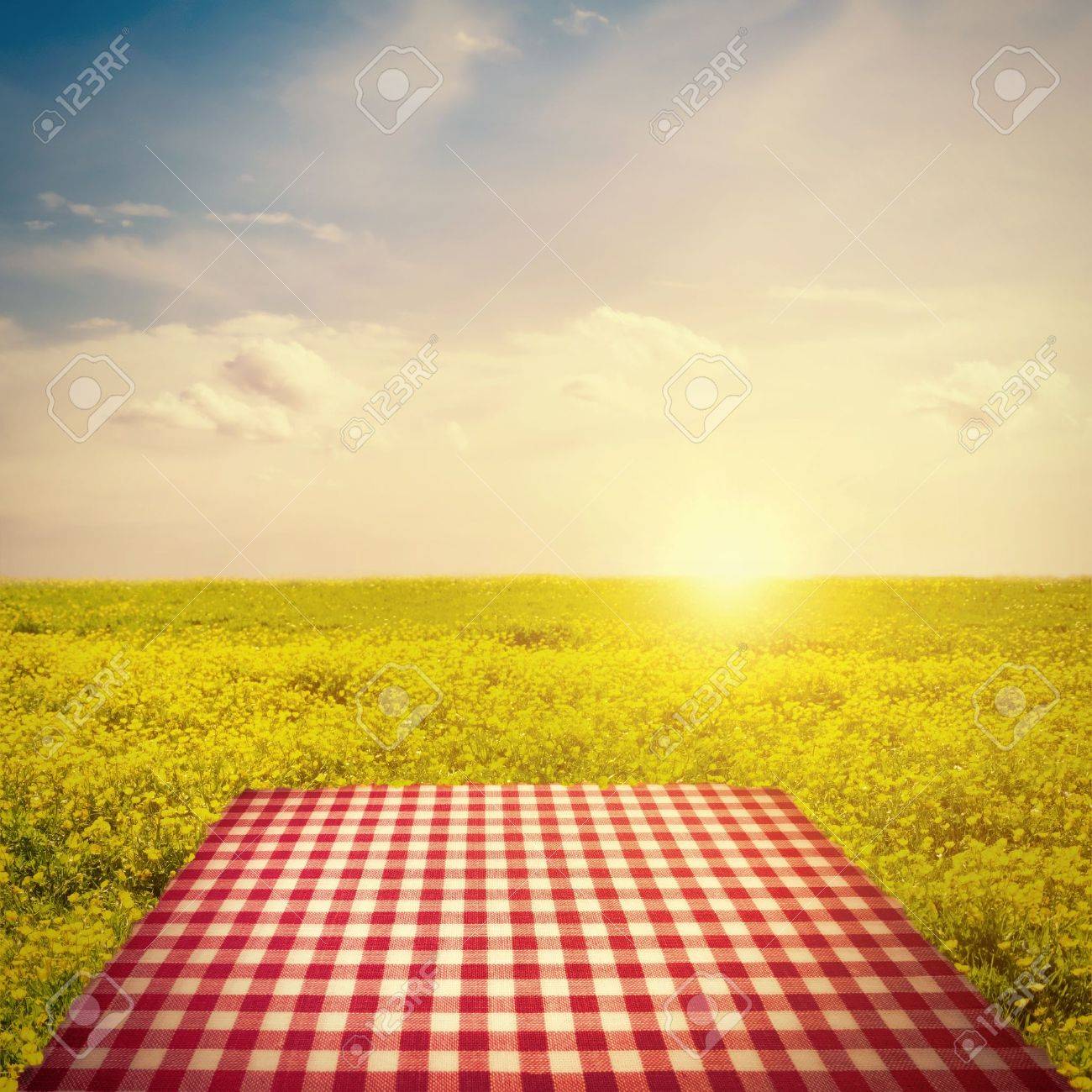 picnic template with tablecloth in buttercup field against sun