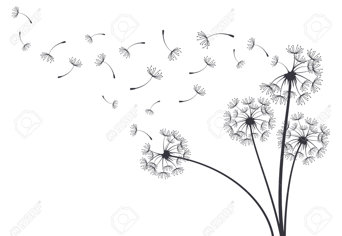 Pissenlit blowball plante botanique graines volantes moelleuses. pissenlits décoratifs en fleurs avec des graines volantes moelleuses vector illustration d'arrière-plan. pissenlits moelleux dessinés à la main - 177130857 Pissenlit blowball plante botanique graines volantes moelleuses. pissenlits décoratifs en fleurs avec des graines volantes moelleuses vector illustration d'arrière-plan. pissenlits moelleux dessinés à la main - 177130857