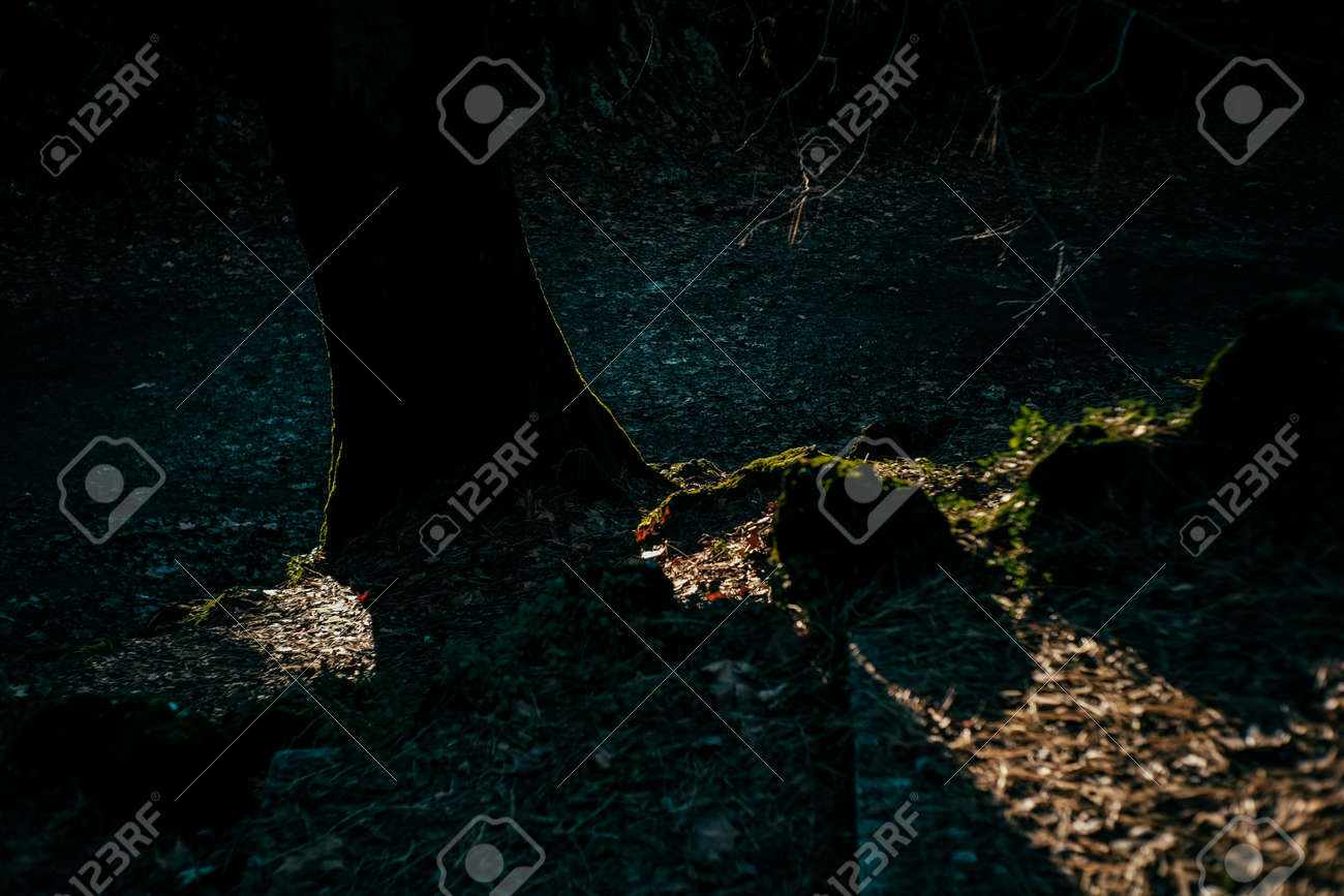 etiam-dictum-ipsum-a-felis