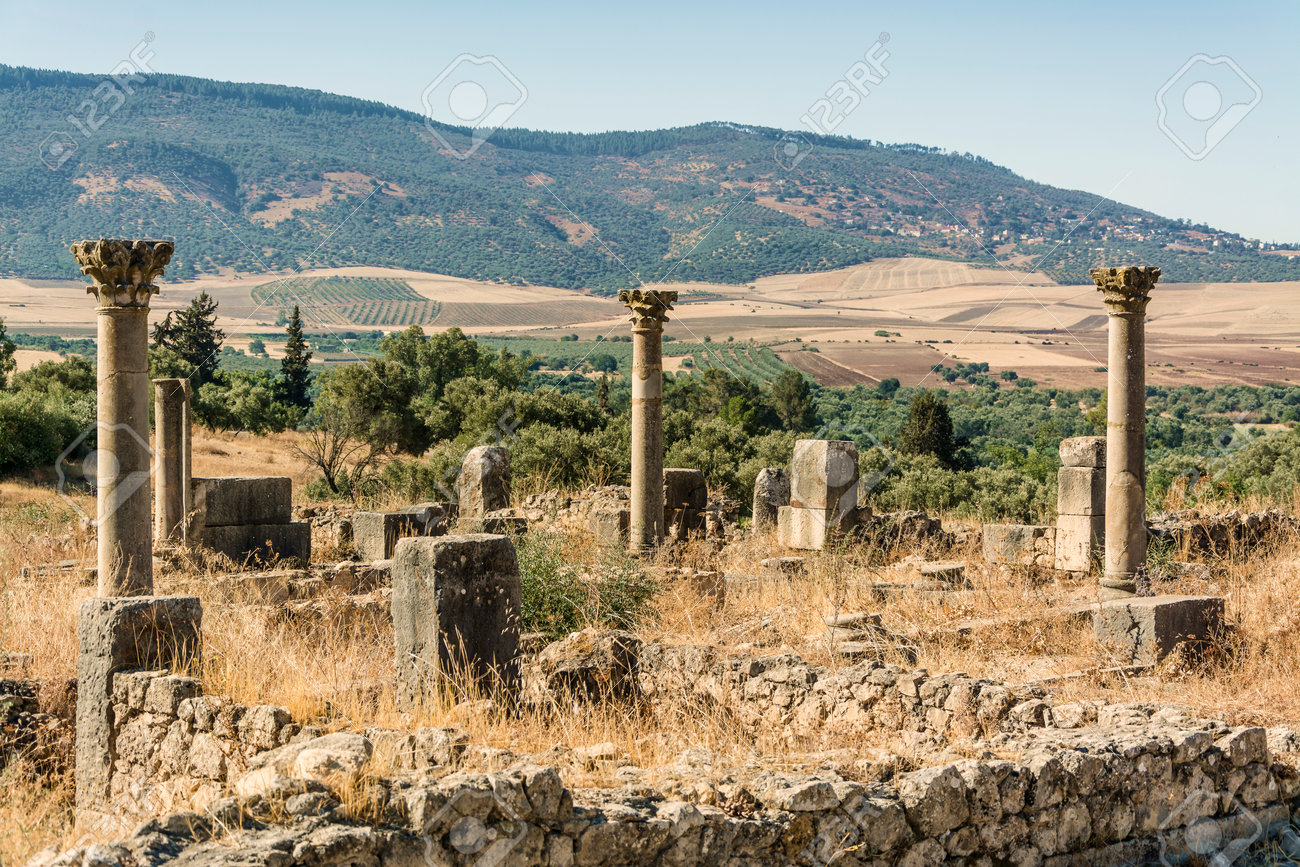 etiam-dictum-ipsum-a-felis