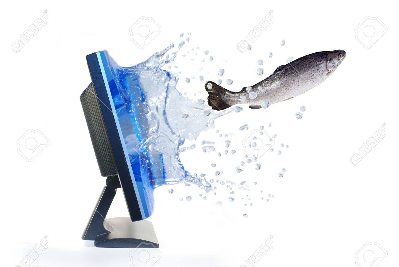 jumping out from monitor trout - 5166645 jumping out from monitor trout - 5166645