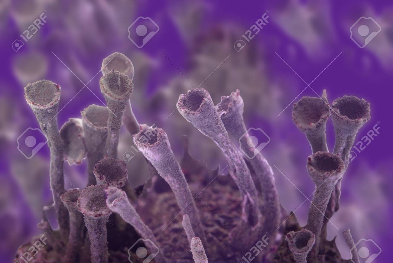 view of fragment of virus under microscope - 7765540 view of fragment of virus under microscope - 7765540