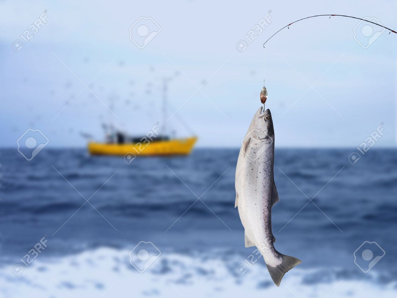 salmon on fishing-rod on background of sea - 17389304 salmon on fishing-rod on background of sea - 17389304