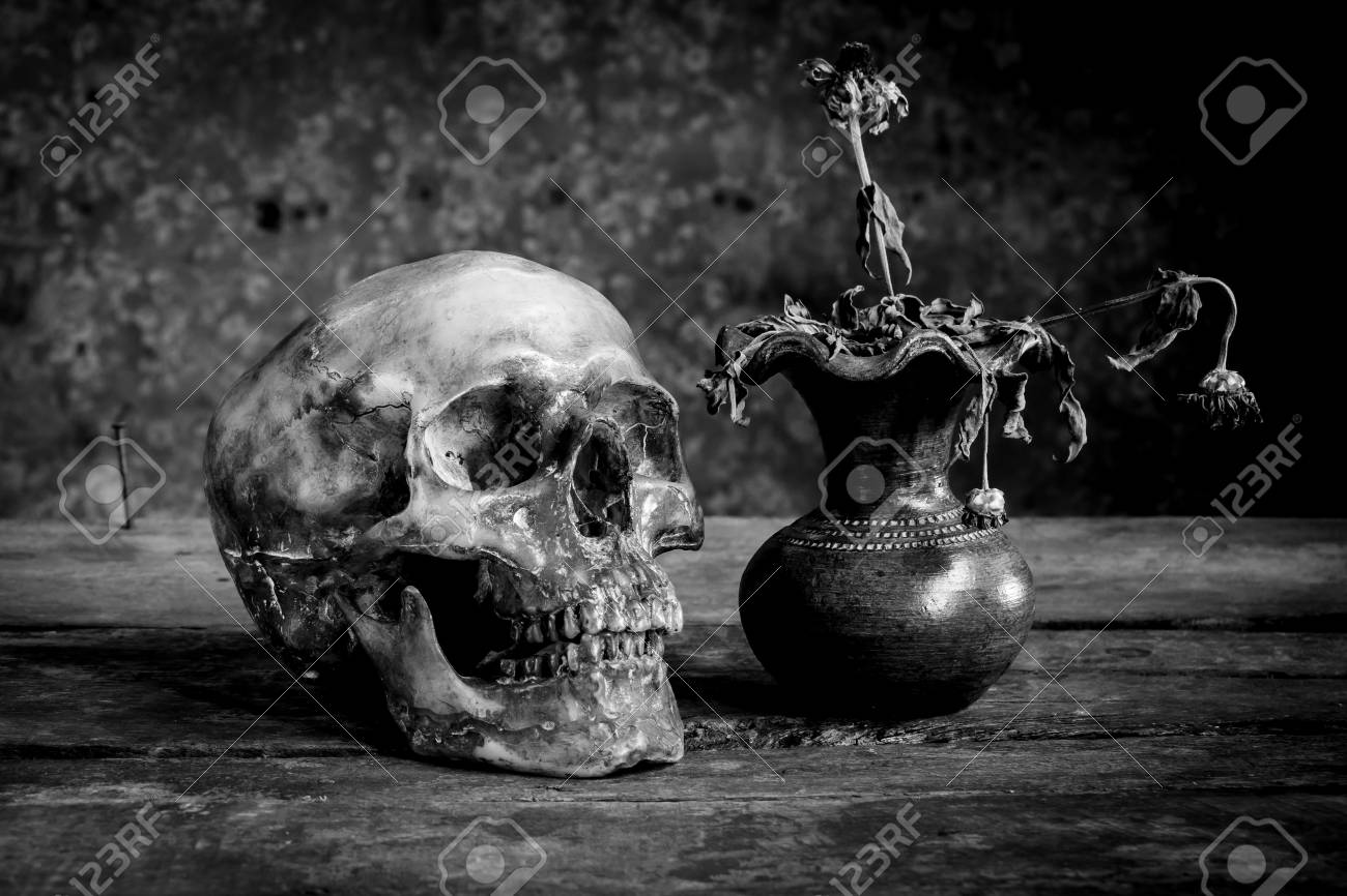 Still life black and white photography with human skulls on wood table stock photo 62190262