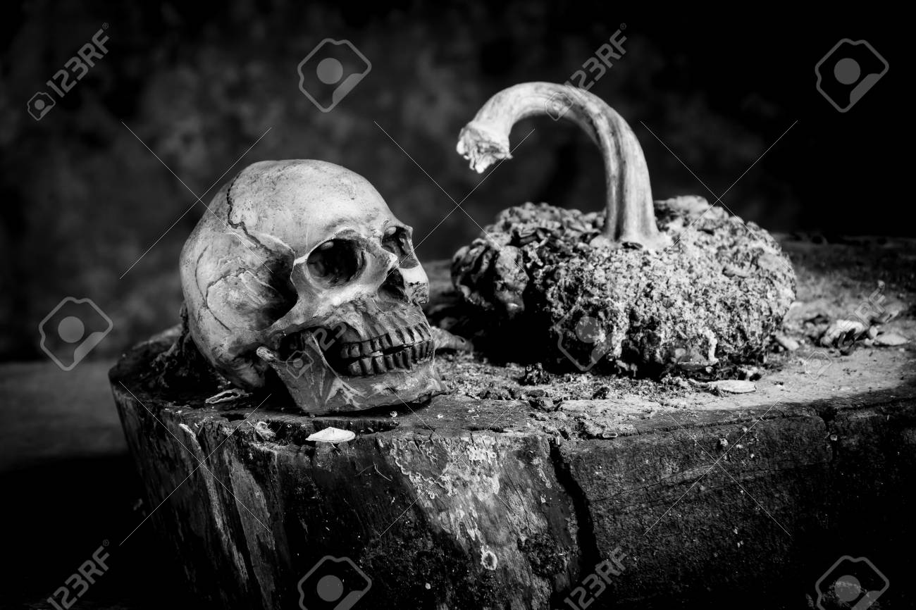 Still life black and white photography with human skulls on wood