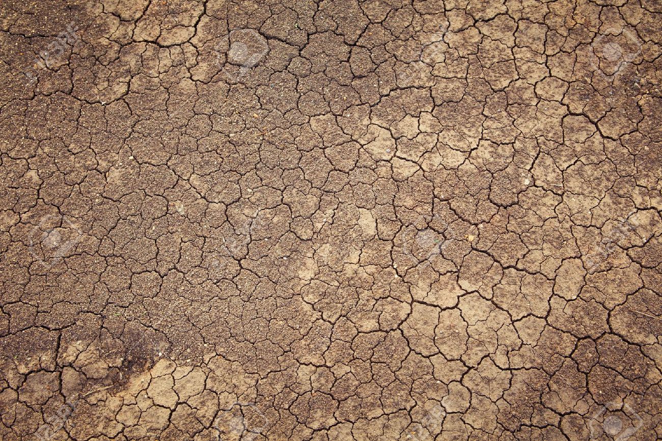 dry cracked earth background