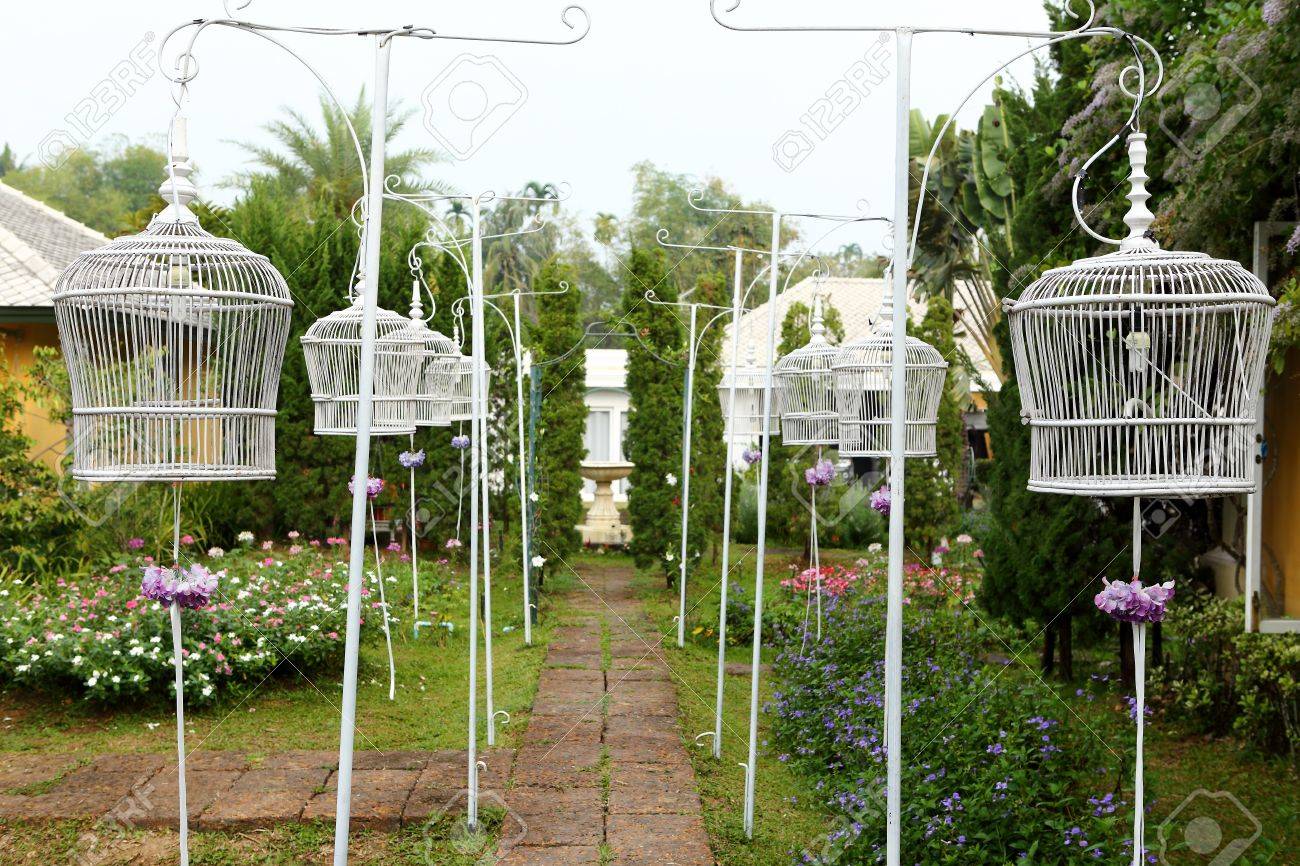 garden bird cage
