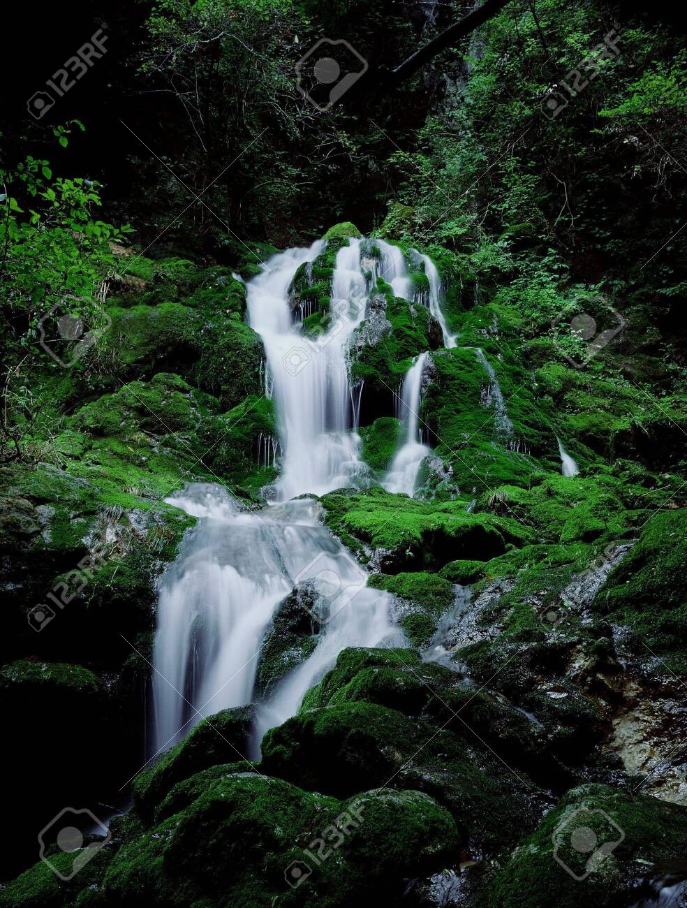 etiam-dictum-ipsum-a-felis