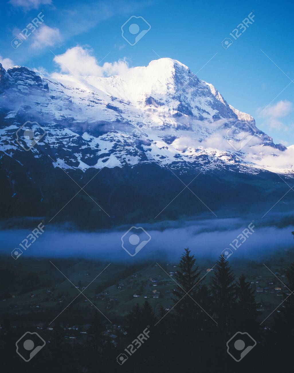 etiam-dictum-ipsum-a-felis