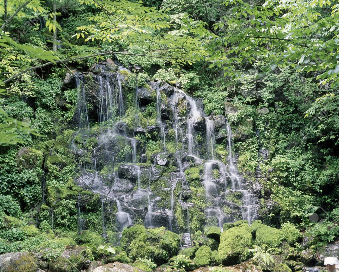 etiam-dictum-ipsum-a-felis