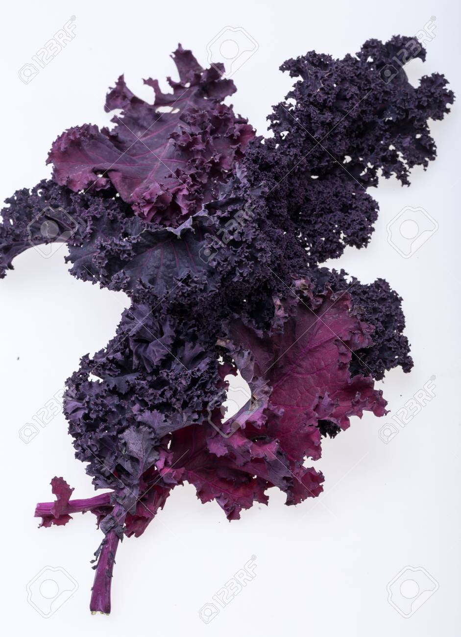 Kale cabbage Curly