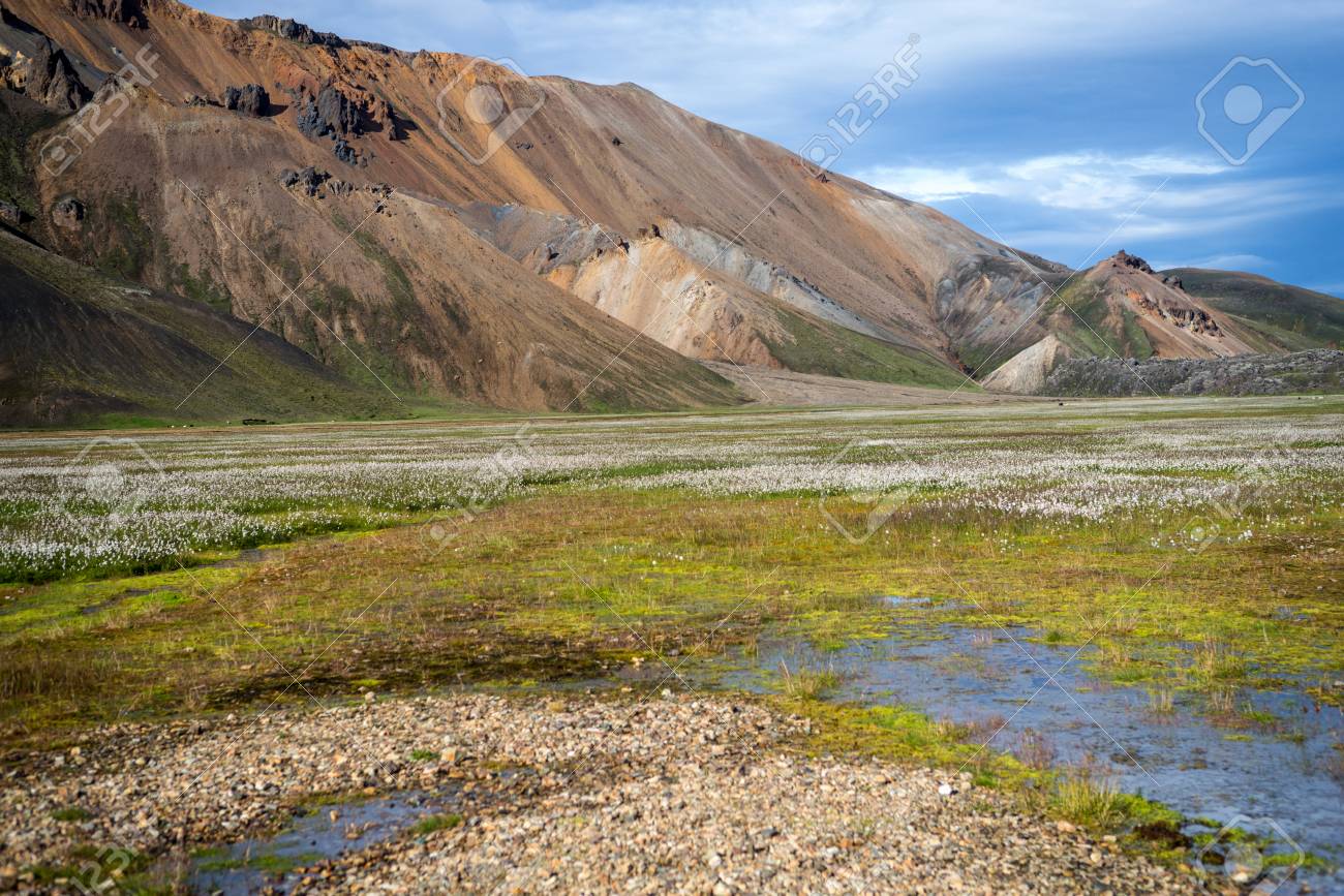 volcanic mountains of landmannalaugar