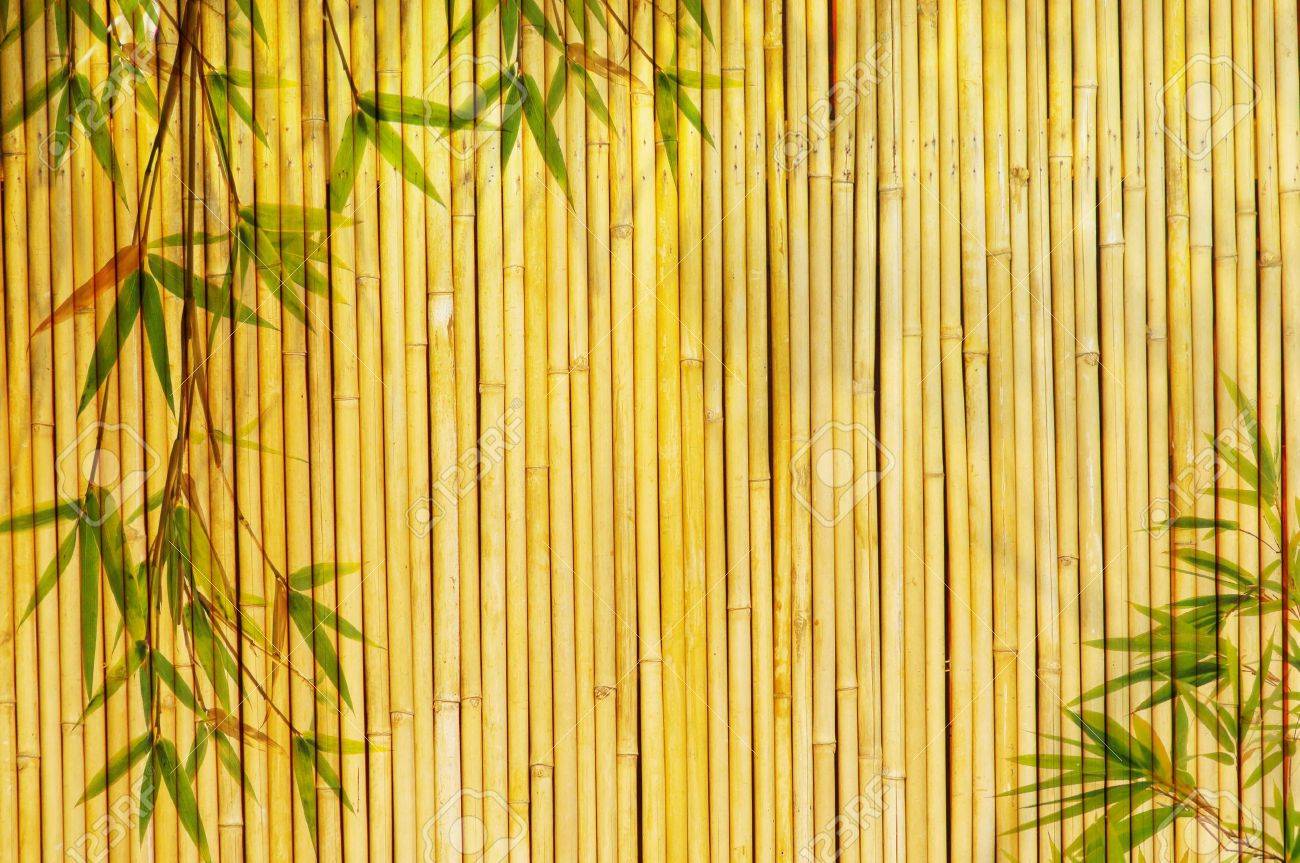 ゴールデン竹背景光の任意のプロジェクトのために大きい の写真素材 画像素材 Image 724