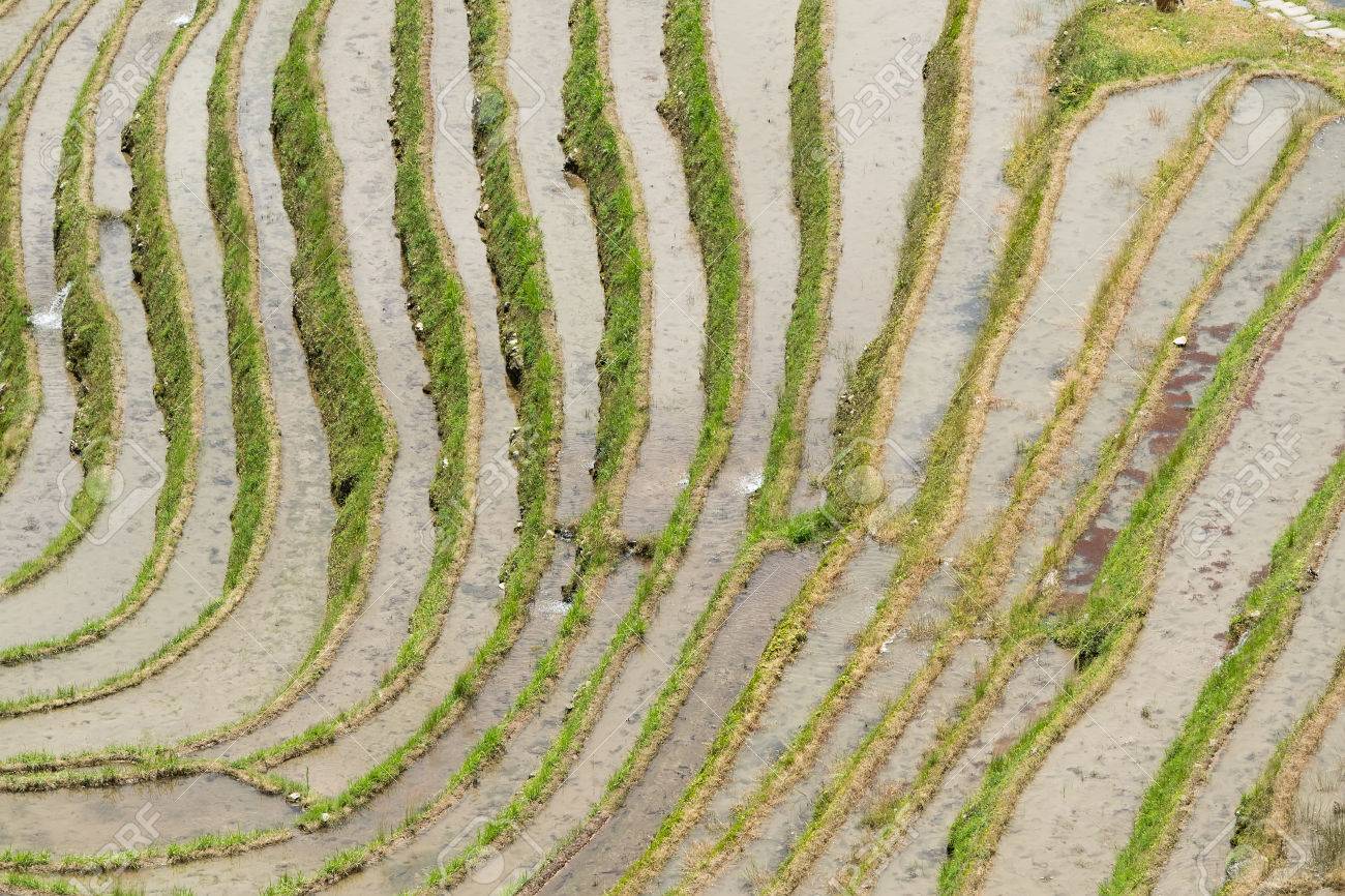 龍脊棚田にある桂林広西チワン族自治区別名中国広西省 の写真素材 画像素材 Image