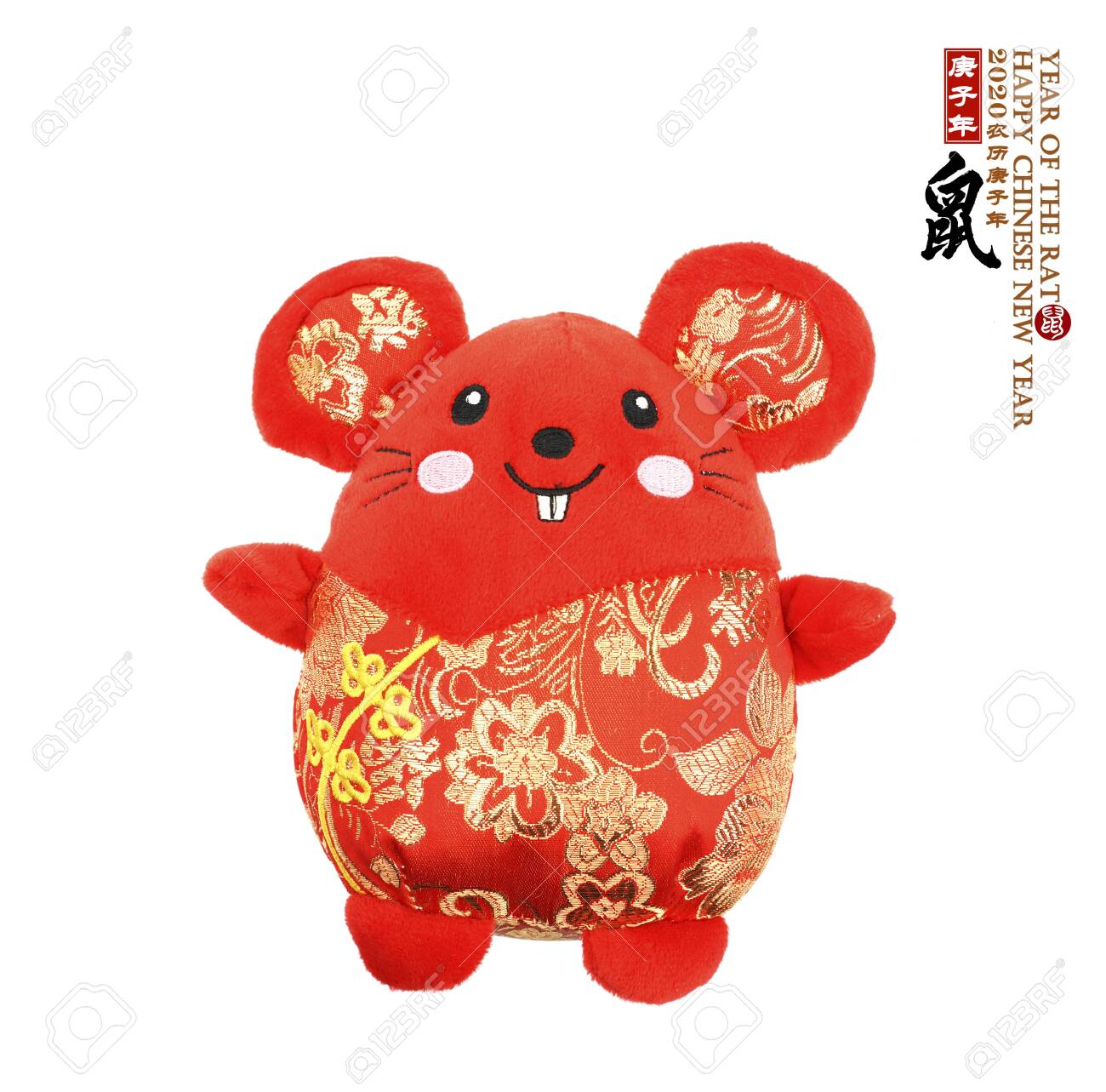 doll rat
