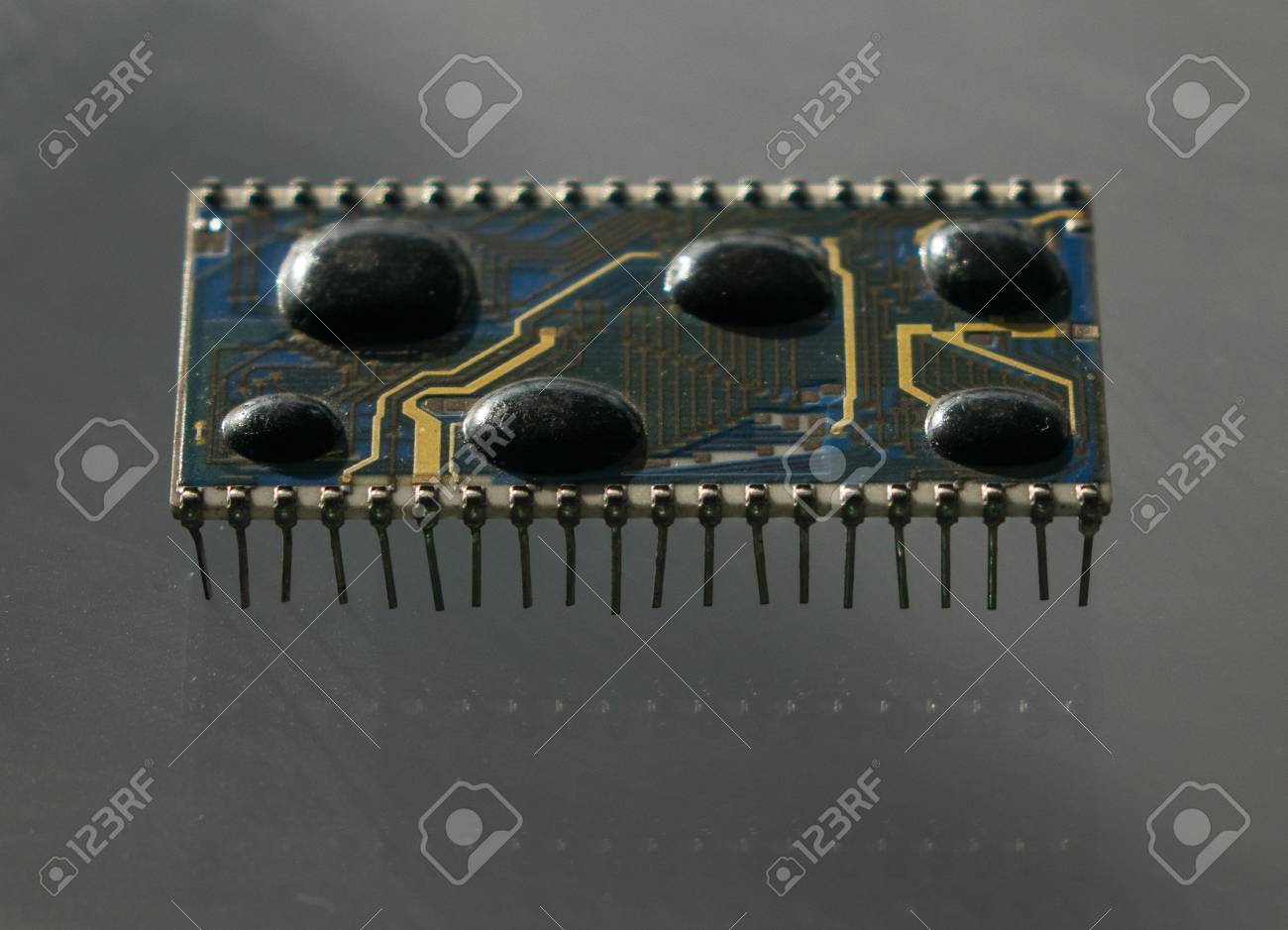 etiam-dictum-ipsum-a-felis