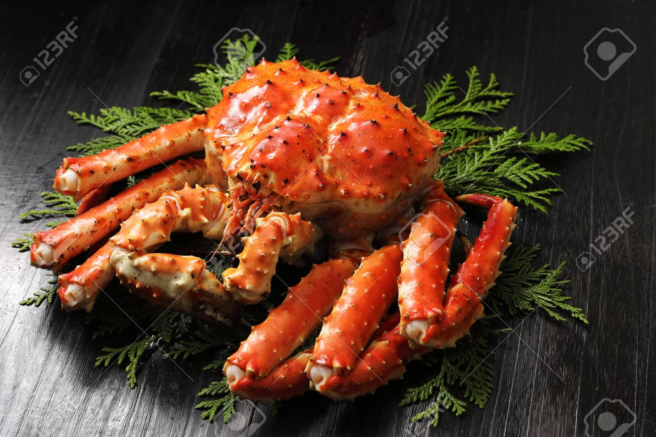 アカガニ の写真素材 画像素材 Image 9771