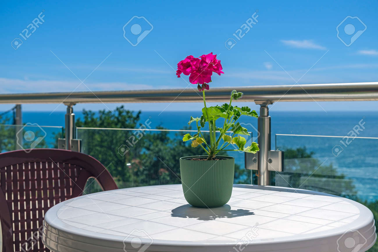 View on the azure sea and blue sky from the private villa's terrace. On the terrace there is a plastic table with a chair, on the table there is a red flower for decoration - 170377741 View on the azure sea and blue sky from the private villa's terrace. On the terrace there is a plastic table with a chair, on the table there is a red flower for decoration - 170377741