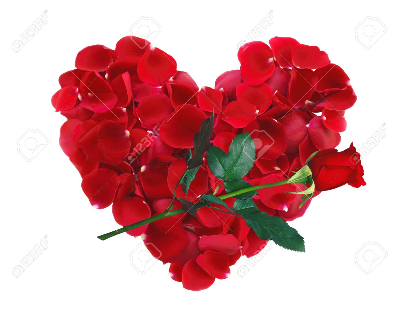 Beautiful Heart Of Red Rose Petals And Rose Flower Isolated On ...