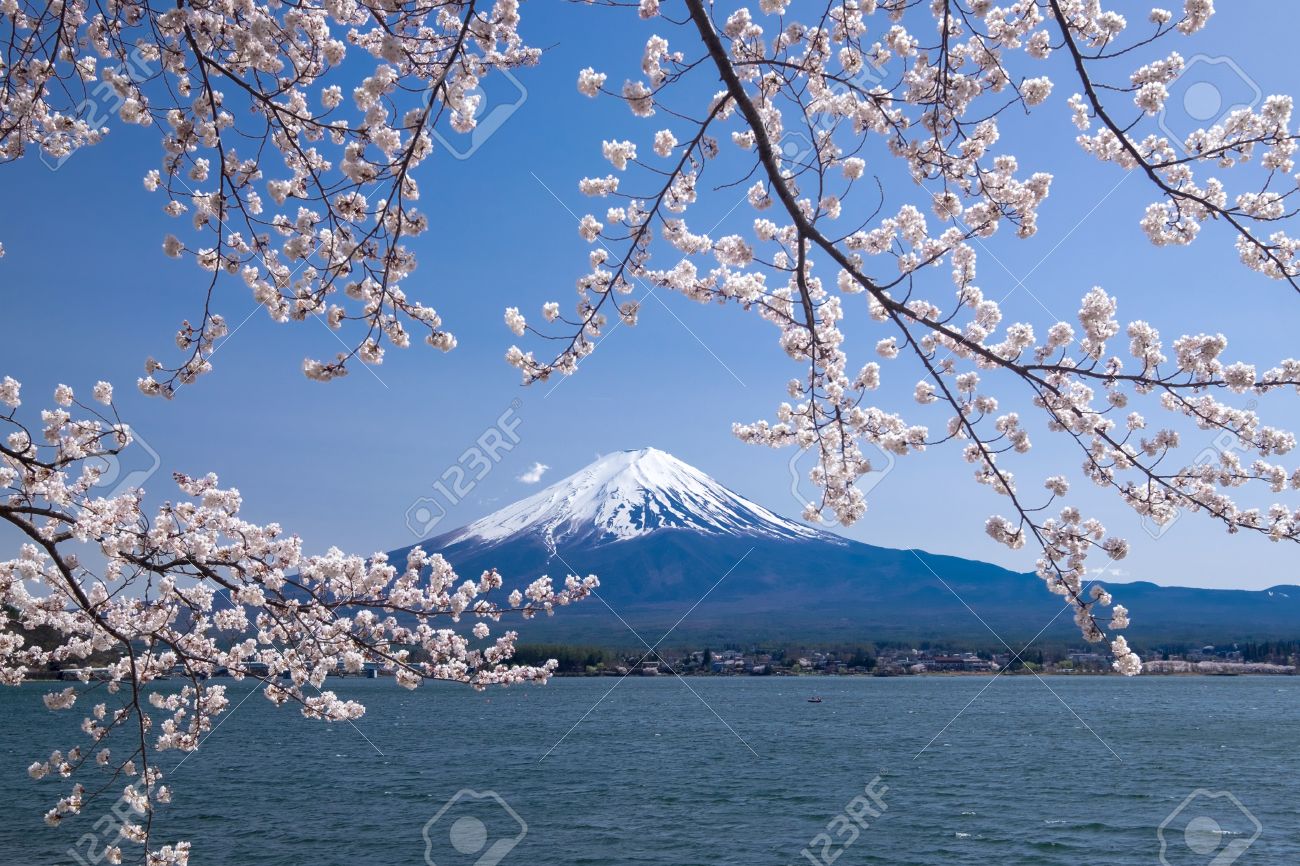 春 河口湖 日本の桜と富士山の山の美しい景色 の写真素材 画像素材 Image 春 河口湖 日本の桜と富士山の山の美しい景色 の写真素材 画像素材 Image