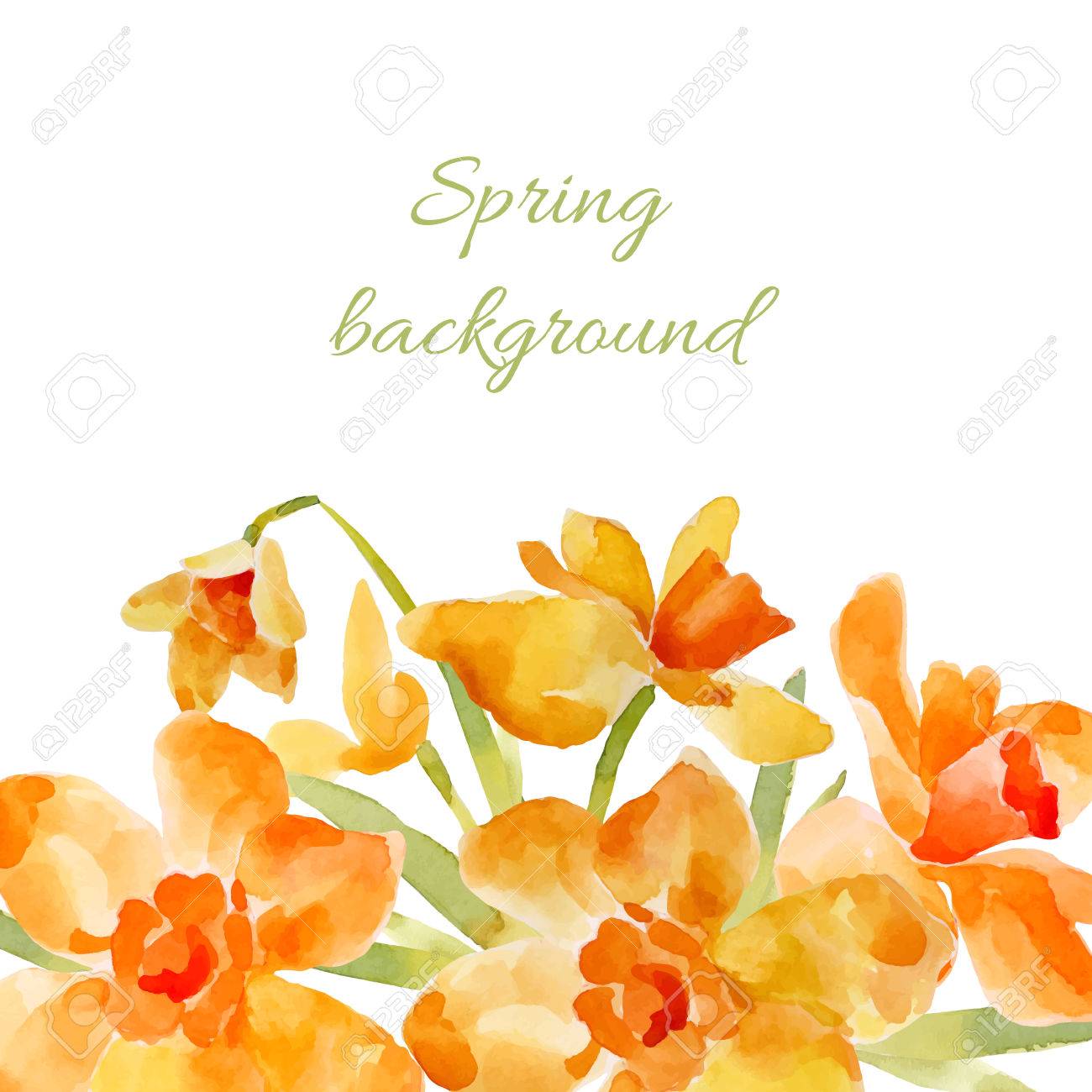 Fruhling Hintergrund Aquarell Absenkt Kann Fur Gluckwunschkarten Und Hochzeitskarten Geschenke Postkarten Einladungen Verwendet Werden Lizenzfrei Nutzbare Vektorgrafiken Clip Arts Illustrationen Image 52613819