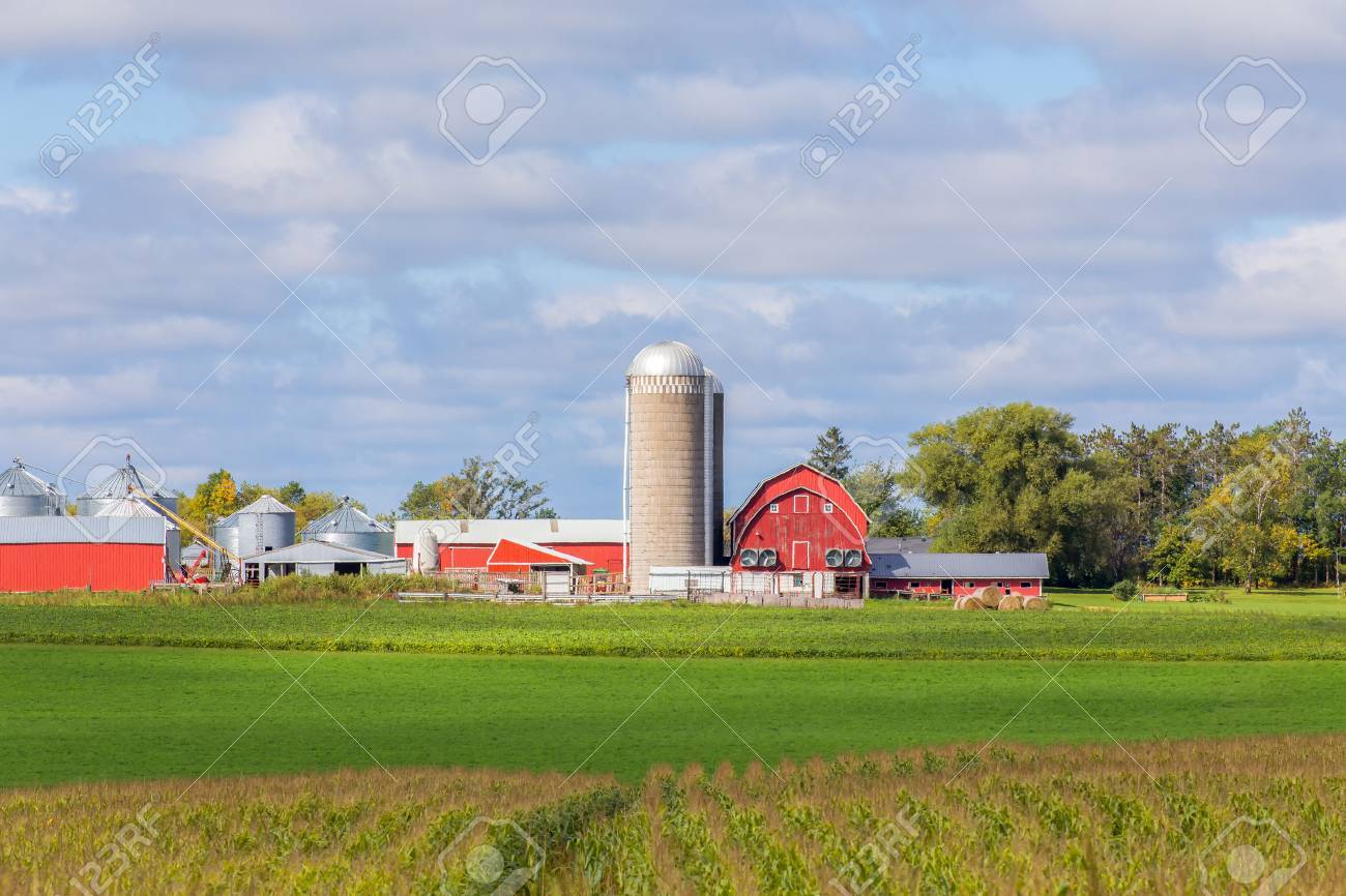 アメリカ中西部のレッドバーン 付属建築物 サイロ コーンフィールドパノラマ の写真素材 画像素材 Image
