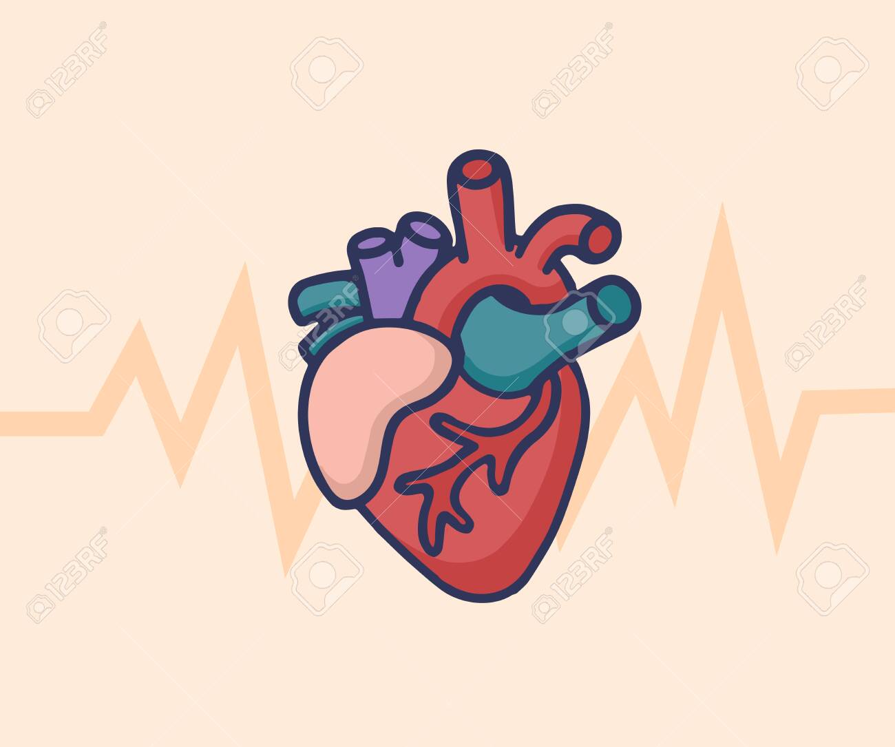 Human Heart Concept. Healthcare And Medical Logo Concept. Vector  Illustration In Cartoon Doodle Style. Royalty Free SVG, Cliparts, Vectors,  and Stock Illustration. Image 123016006., image size:1300x1085
