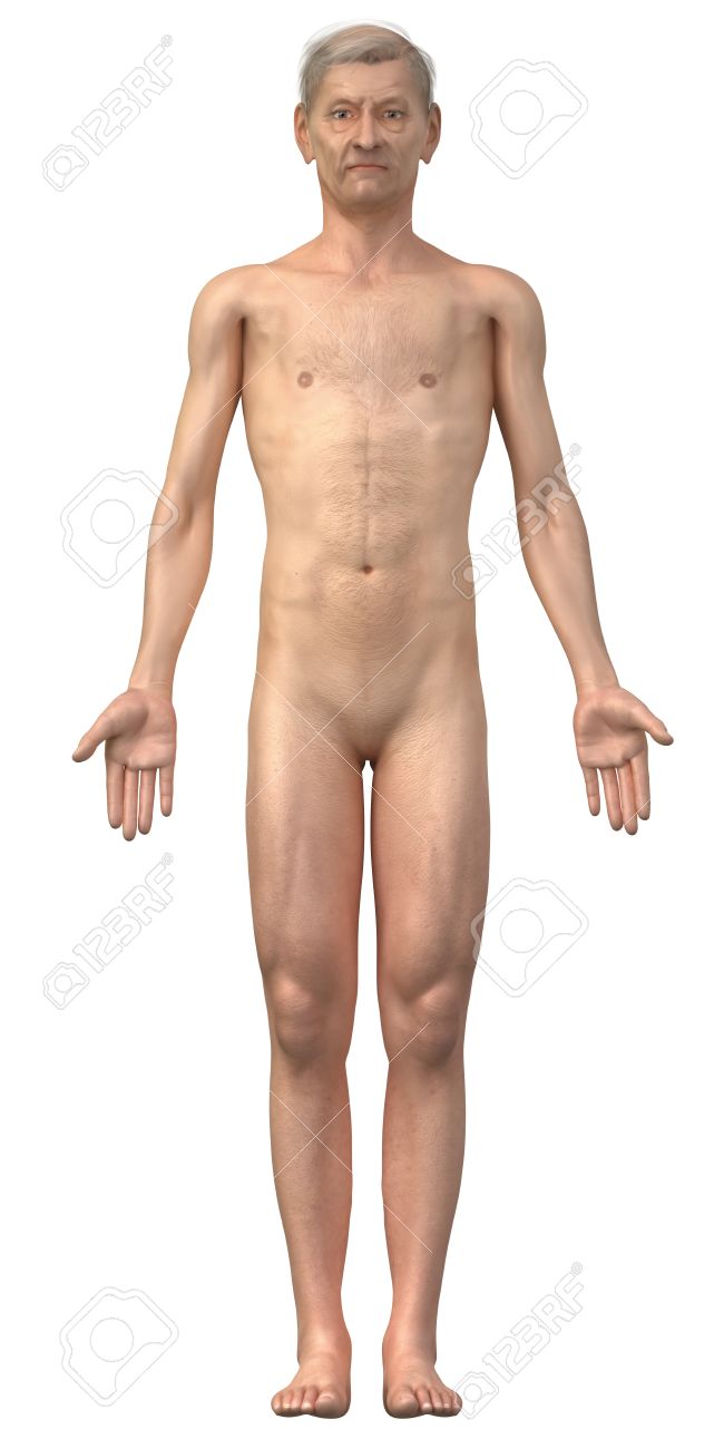 Naked Old Man In Anatomical Position Isolated - Whole Family Also Available  Stock Photo, Picture and Royalty Free Image. Image 11295978.