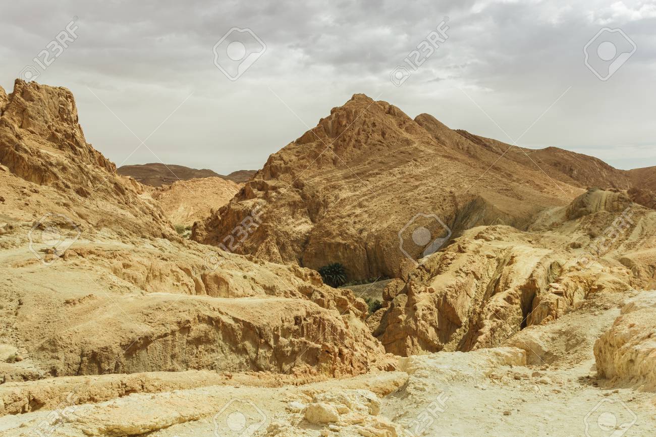 Landscape Of Mountains With Palm Trees In The Desert Of Tunisia Stock Photo Picture And Royalty Free Image Image 65526178