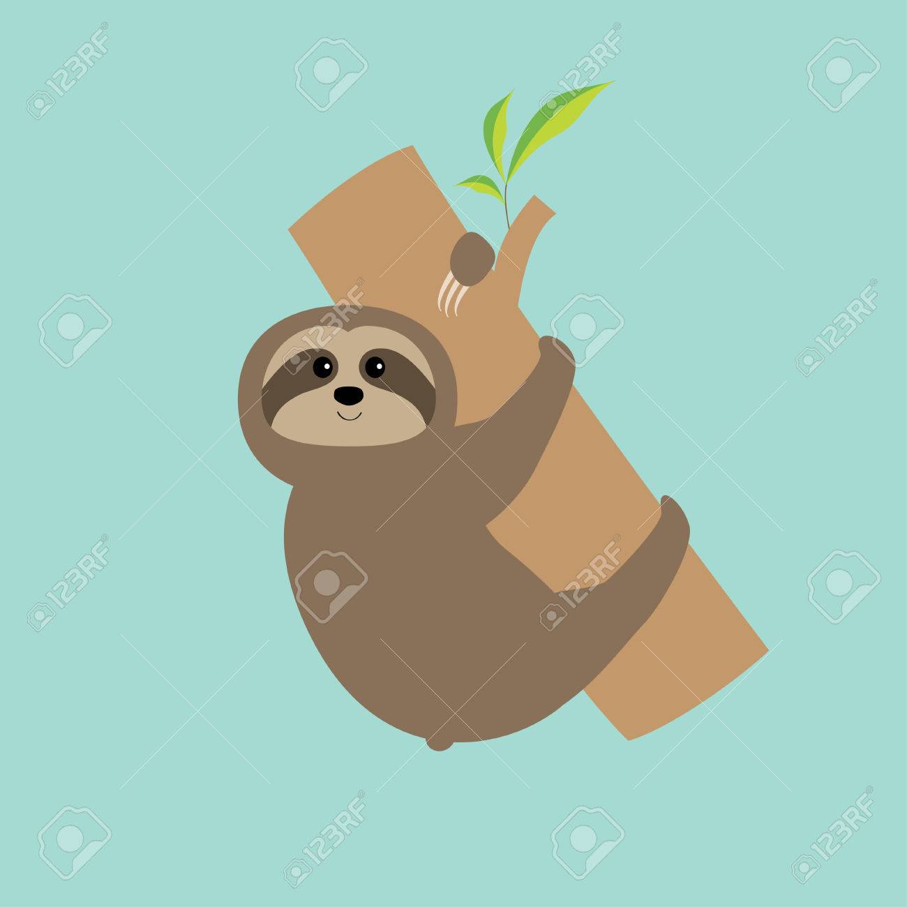 sloth hugs tree branch