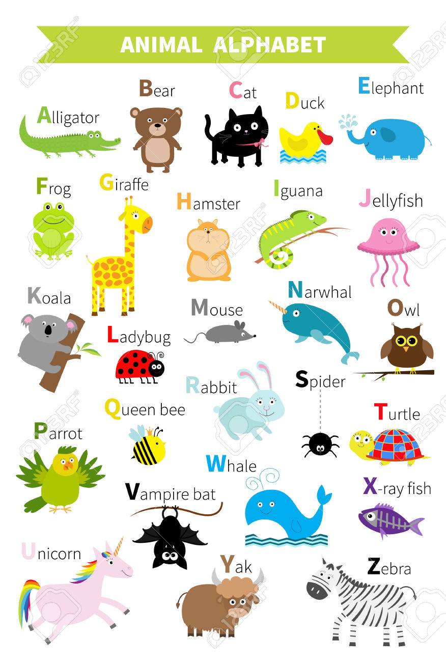 Alphabet Zoo Animal Caractère Mignon De Bande Dessinée Définie Isolé Conception Blanc Bébé éducation Des Enfants Alligator Ours Chat Canard