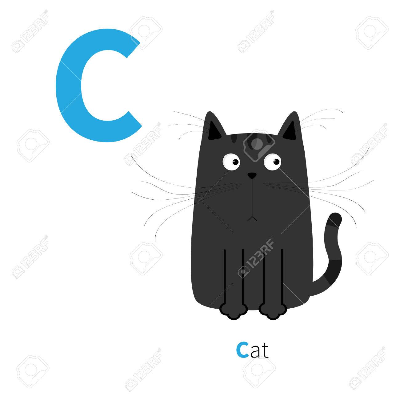 Lettre C Chat Noir Abc Anglais Avec Les Animaux Alphabet Zoo Cartes Déducation Pour Les Enfants Fond Blanc Isolé Design Plat Vector Illustration