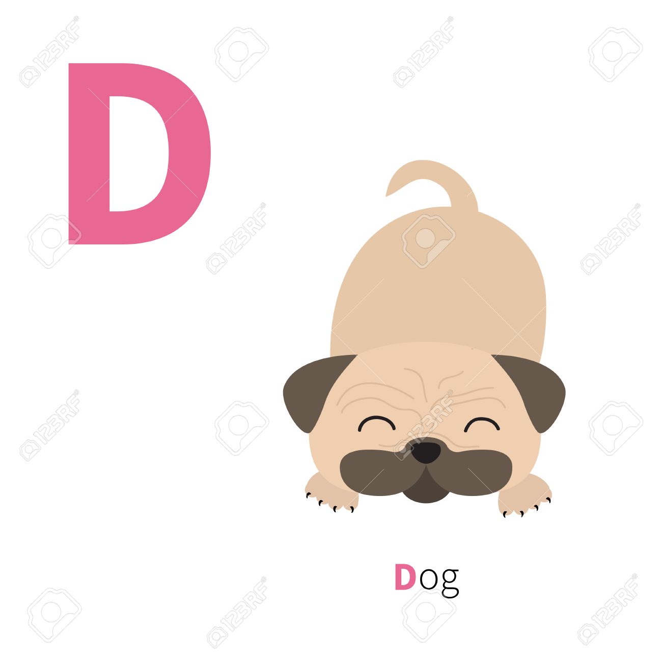 letter d dog zoo alphabet english abc with animals education