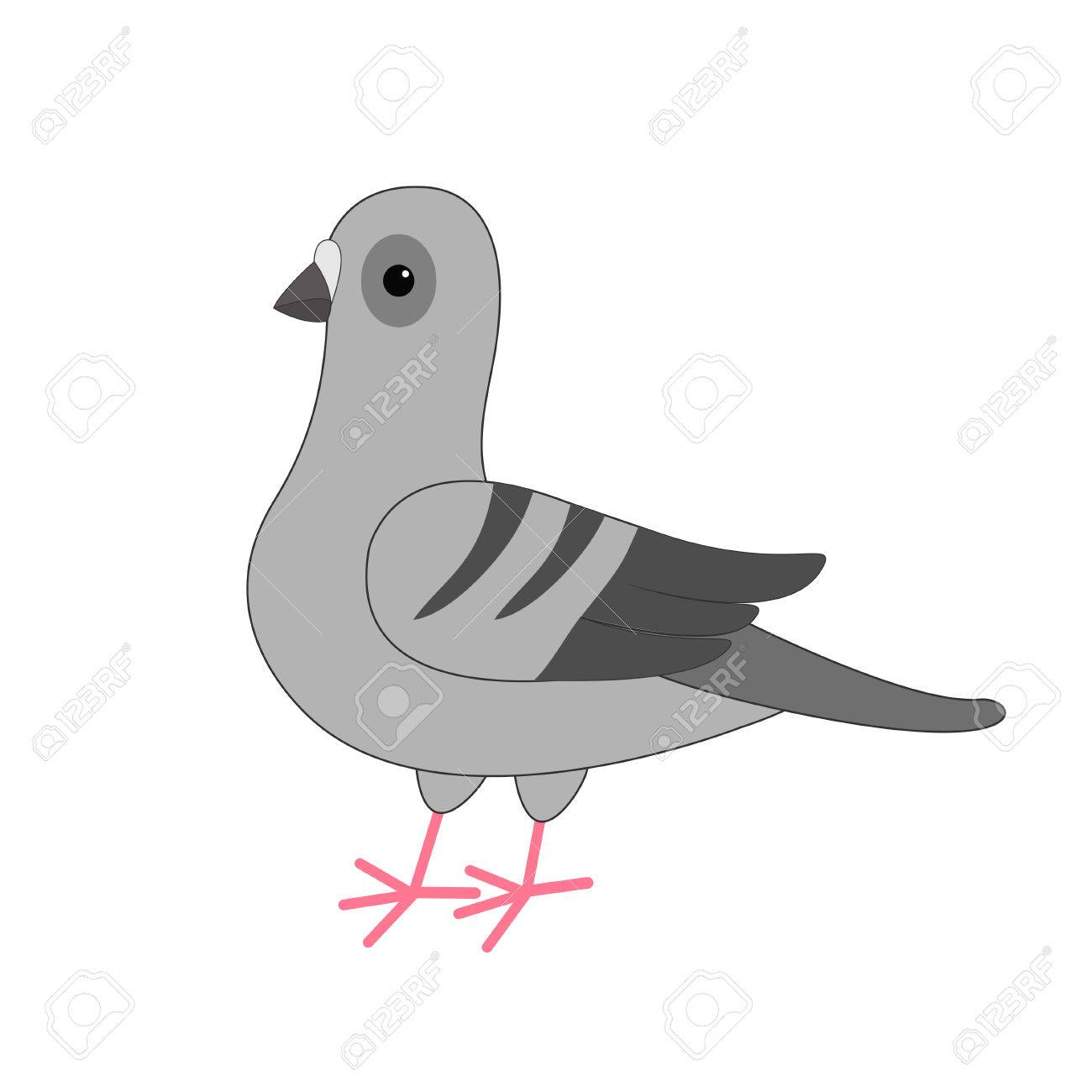 Bird Dove Gris Pigeon Personnage De Dessin Anime Mignon Sur Fond Blanc Isole Pigeon Icone Design Plat Vector Illustration Clip Art Libres De Droits Vecteurs Et Illustration Image