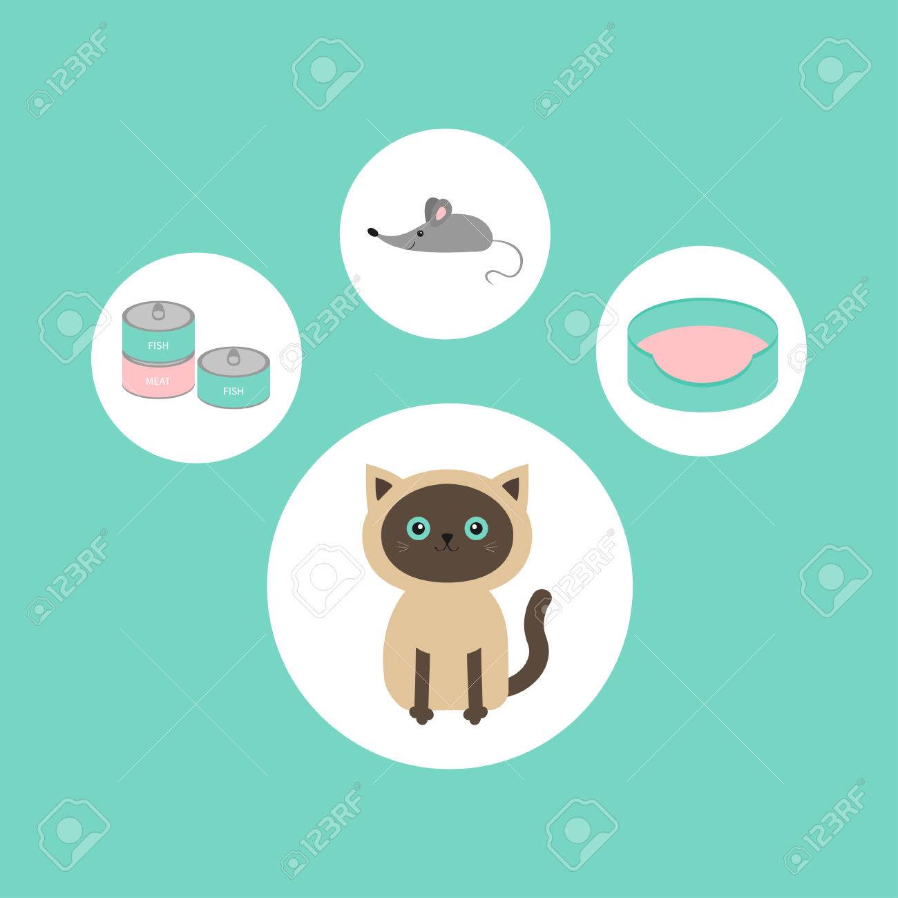 Chat Siamois Cercle Autour De Licône Situé Dans Forme De Patte Dimpression Jouet Souris Lit étain Alimentaire Peut Design Plat Personnage De
