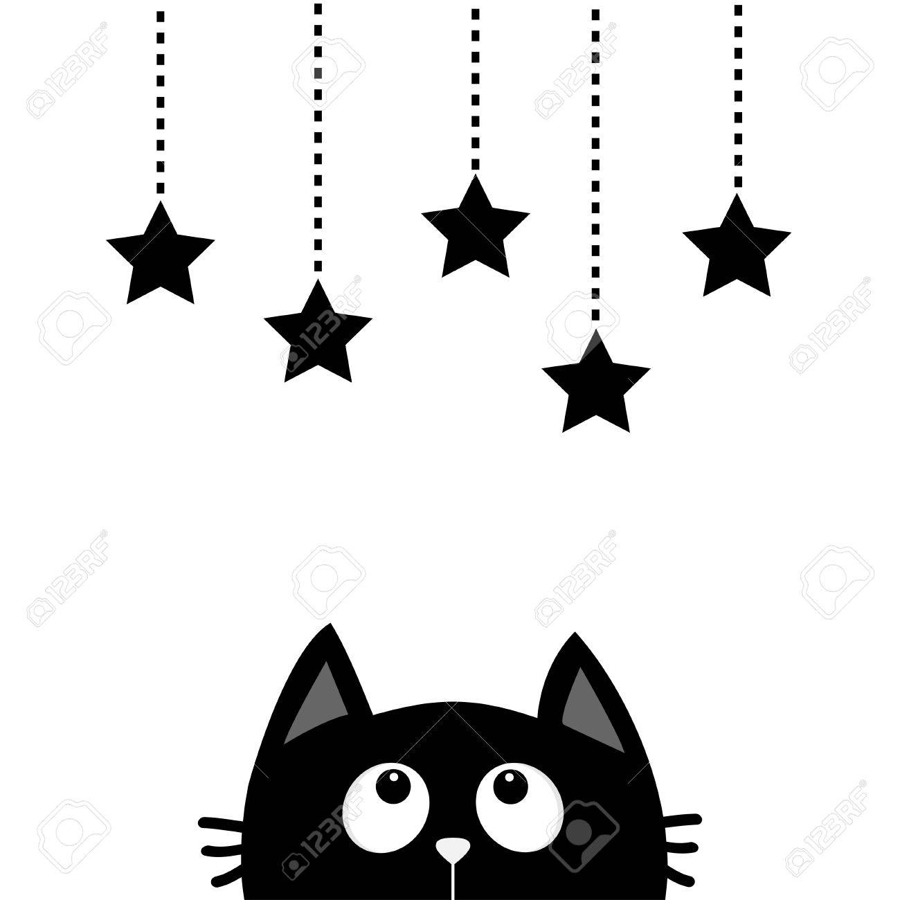 black cat looking up