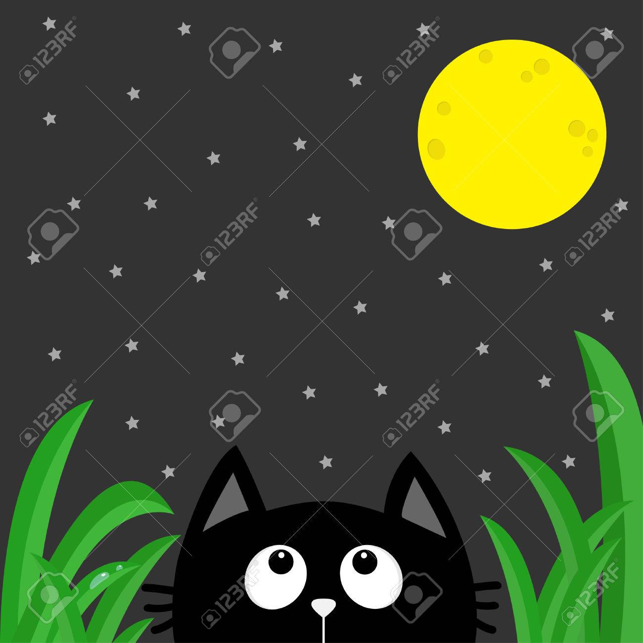 暗い夜の星や月を見て黒い猫 緑の草の露の滴 かわいい漫画のキャラクター かわいいロマンチックな動物 グリーティング カードが大好きです フラット灰色の背景 分離されました ベクトル図 のイラスト素材 ベクタ Image