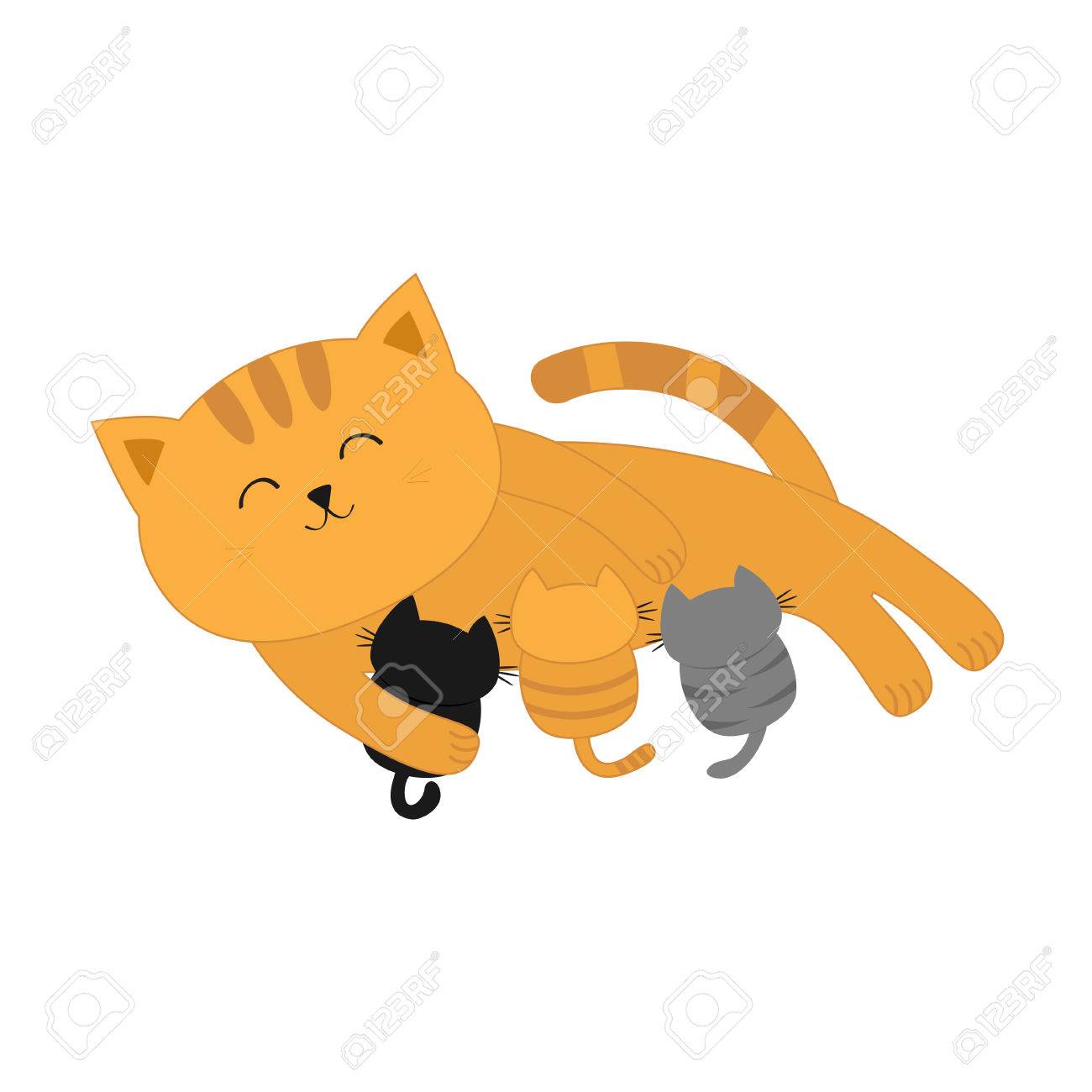 Information for pets: how and what to feed nursing cats Information for pets: how and what to feed nursing cats